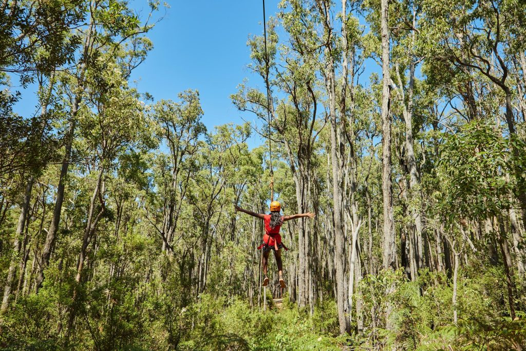 zipline adventure camp activities near perth