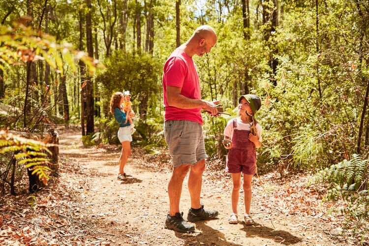 Dwellingup bush walks near Perth