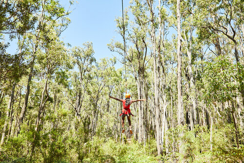 Nanga Bush Camp Zip line activity Near Perth