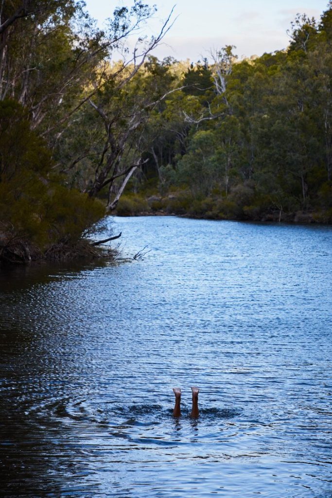 River swimming, Lane Poole Reserve Dwellingup