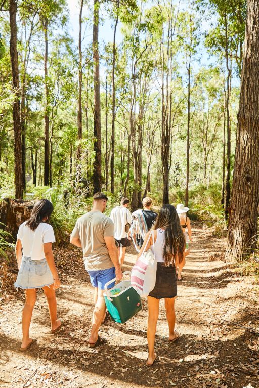 bush walk near Perth Lane Poole Reserve
